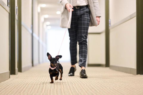 Abode Phillip - Accommodation Resorts 4