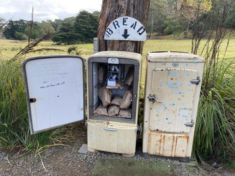 Adina Tiny House Bruny Island - Accommodation Resorts 3