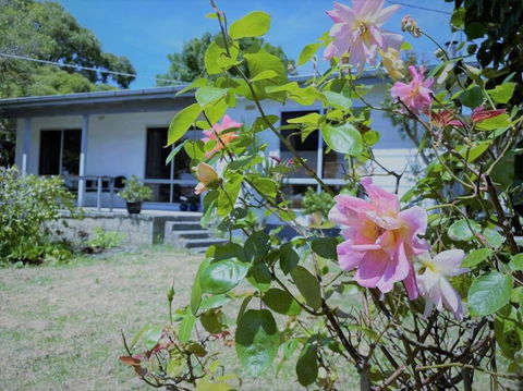 Apollo Bay Holiday House - Accommodation Resorts 1