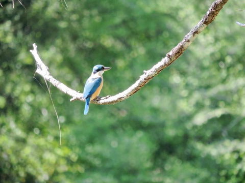 Avalon River Retreat - 400 Acre Riverside Oasis - Accommodation Resorts 1