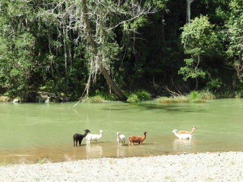 Avalon River Retreat - 400 Acre Riverside Oasis - Accommodation Resorts 4