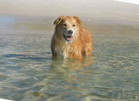 Away Nelson Bay, 29 Wollomi Ave - Spacious Family Home With Water Views, Pet Friendly, Wifi & Aircon - Accommodation Resorts 2