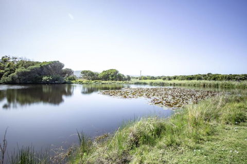 Apollo Bay Cottages- Sabine - Accommodation Resorts 3