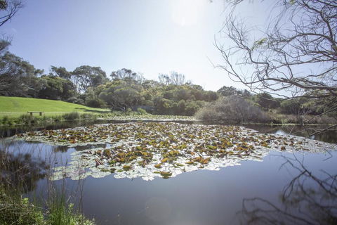 Apollo Bay Cottages- Sabine - Accommodation Resorts 4