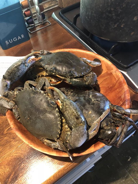 Cairns Beach House Our Oasis - Accommodation Resorts 4