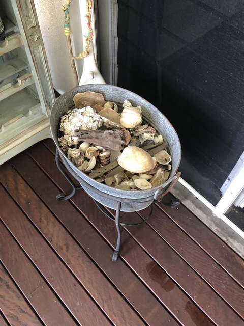 Cairns Beach House Our Oasis - Accommodation Resorts 38