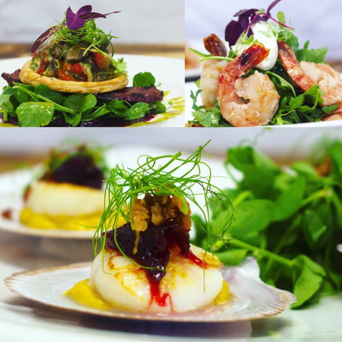 Roma Explorers Inn - Accommodation Resorts 23