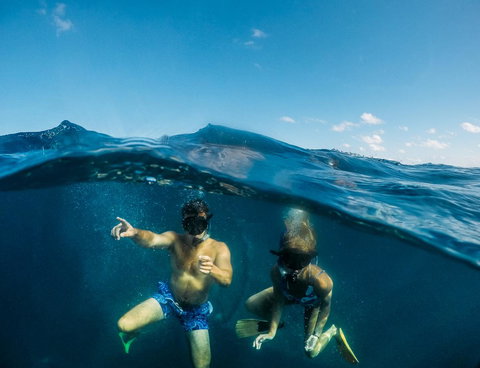 Manta Lodge YHA & Scuba Centre - Accommodation Resorts 12