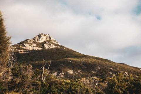 Mountain Seas Lodge - Accommodation Resorts 5