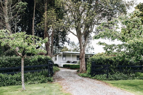 Daisy Hill Southern Highlands - Accommodation Resorts 1