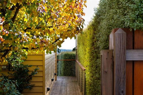 Daylesford House Studio - Accommodation Resorts 4