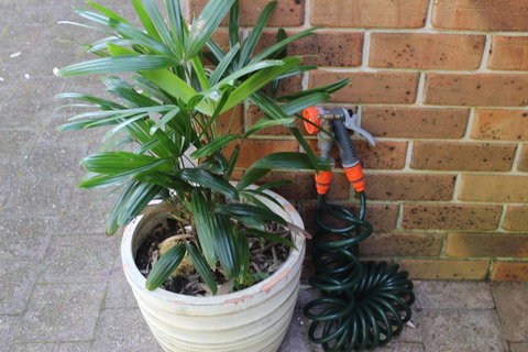 3 MELALEUCA - Accommodation Resorts 2