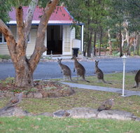 31 The Rocks - Accommodation Resorts