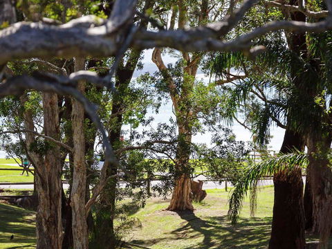 34 'Bay Parklands', 2 Gowrie Avenue - WIFI, Views, Pool, Spa & Tennis Court - Accommodation Resorts 0