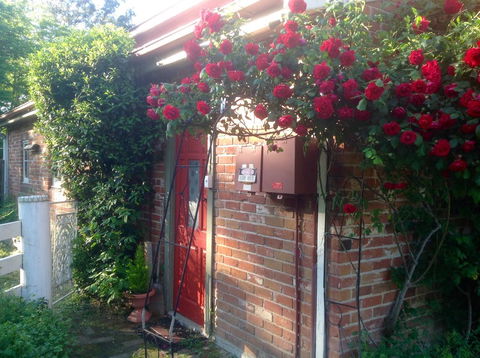 A Country Barn Retreat - Accommodation Resorts 2