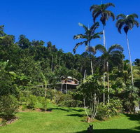 A Daintree Garden - Accommodation Resorts