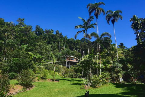 A Daintree Garden - Accommodation Resorts 0