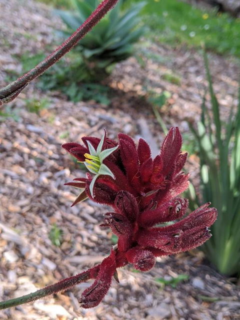 A Home Away From Home - Accommodation Resorts 1