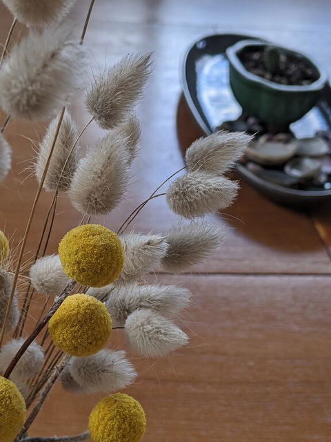 A Home Away From Home - Accommodation Resorts 2