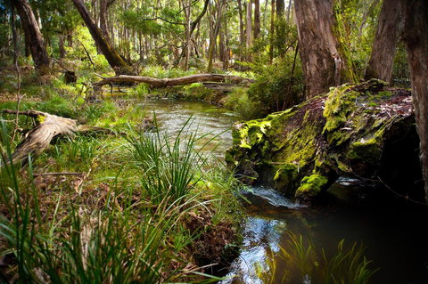 Ablac Studio - Accommodation Resorts 1