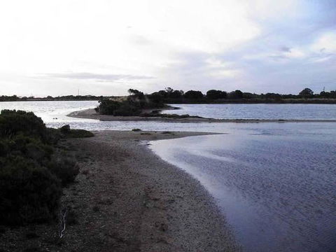 Absolute Waterfront - Accommodation Resorts 1