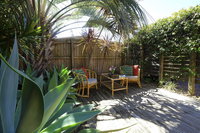 ACACIA - WEEKLY ONLY