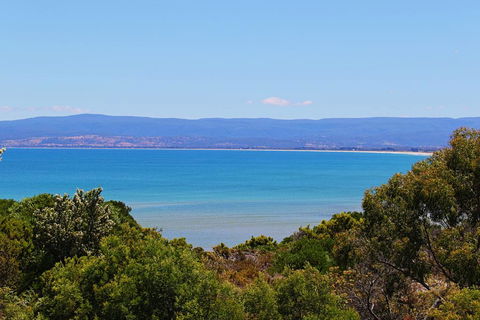 Acacia Cottage - Accommodation Resorts 1