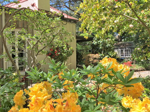Adelaide Hills 'Camellia Cottage' - WiFi - Accommodation Resorts 1