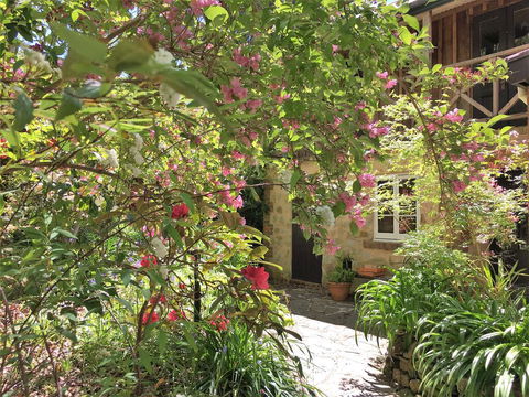 Adelaide Hills 'Camellia Cottage' - WiFi - Accommodation Resorts 2