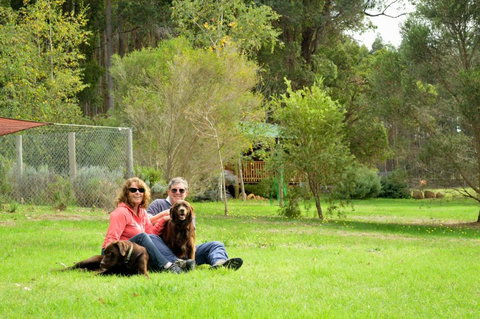 Diamond Forest Farm Stay - Accommodation Resorts 4