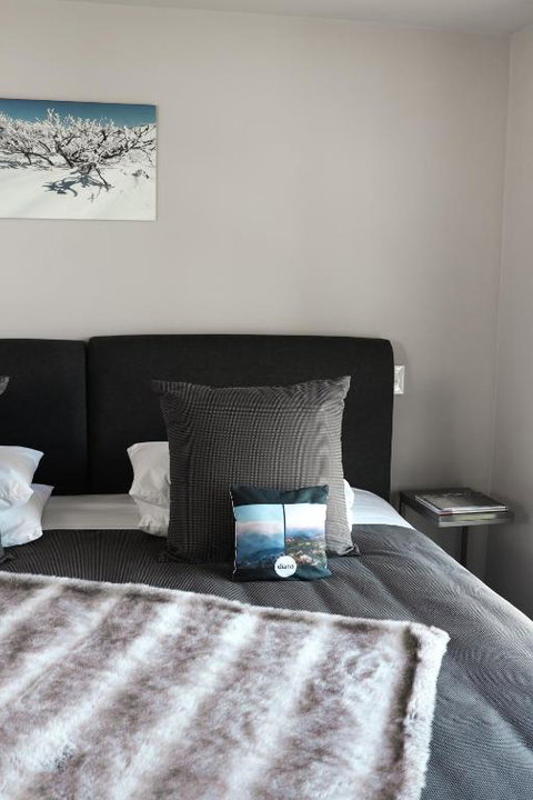 Diana Alpine Lodge - Accommodation Resorts 2