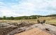 Eagle Mount Deepwater By Tiny Away - thumb 1