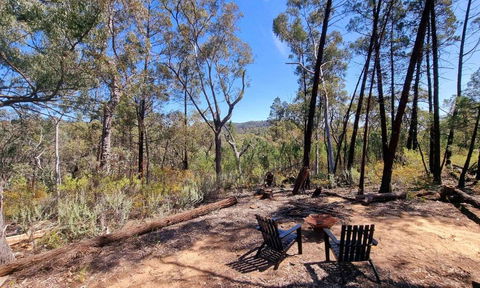 Echidna Ridge By Tiny Away - Accommodation Resorts 1