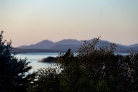 Faraway On Flinders Island - Accommodation Resorts 4