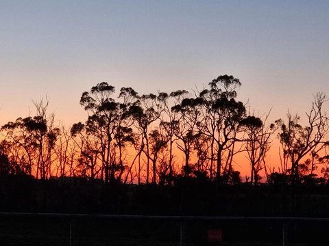 Farmstay@Morgans - Accommodation Resorts 0