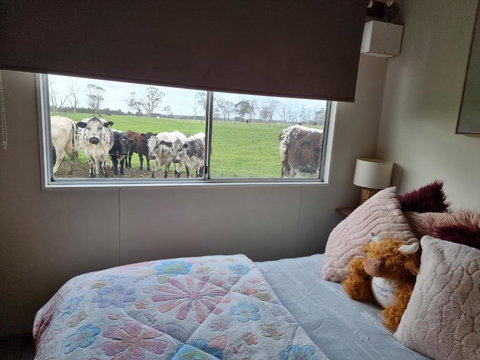 Farmstay@Morgans - Accommodation Resorts 3