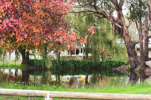 Fentons Run High Range - Accommodation Resorts 3