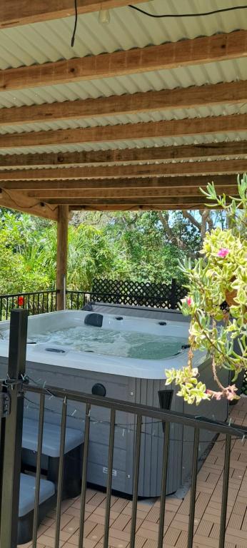 Figtree Cottage - Homestay - Yeppoon - Accommodation Resorts 4