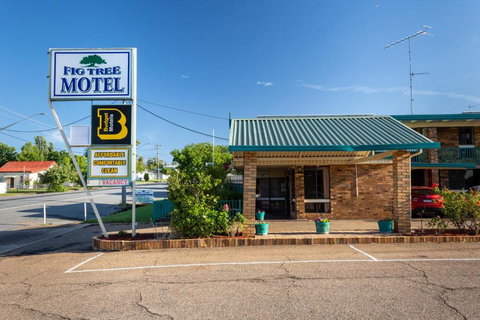 Fig Tree Motel - Accommodation Resorts 2