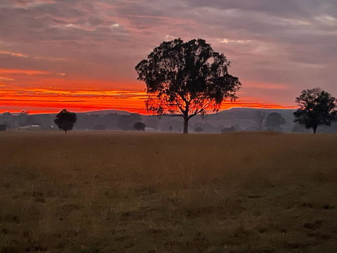 Graceland By Tiny Away - Accommodation Resorts 0