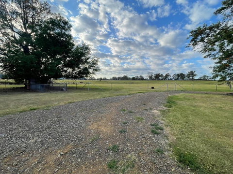 Graceland By Tiny Away - Accommodation Resorts 4