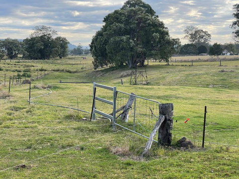 Graceland By Tiny Away - Accommodation Resorts 2