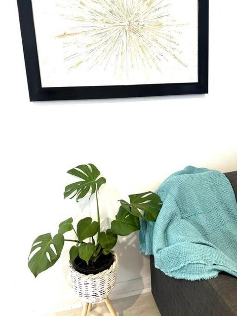 Happy Studio In NewCastle - Accommodation Resorts 1