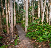 Agnes Palms Accommodation - Accommodation Resorts