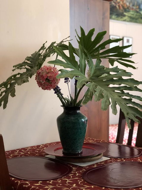 Albany Foreshore Guest House - Accommodation Resorts 3