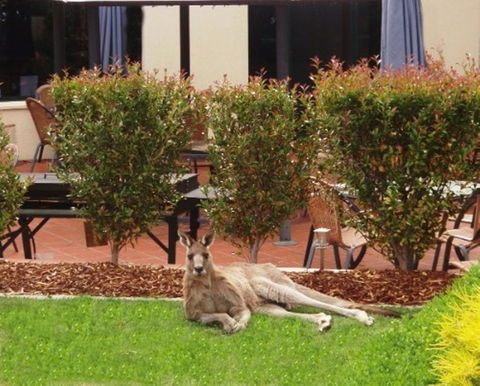 Alpha Hotel Canberra - Accommodation Resorts 1