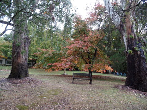 Alpine Park Riverside Cottages - Accommodation Resorts 2