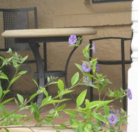 Amalie Cottage Waikerie - Accommodation Resorts