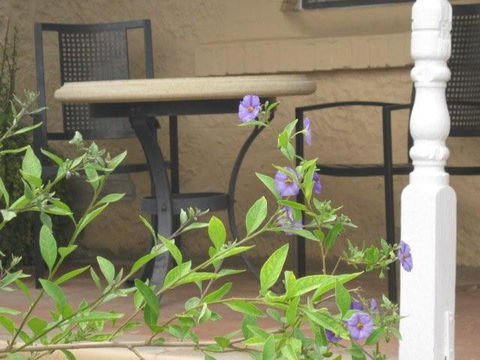 Amalie Cottage Waikerie - Accommodation Resorts 0