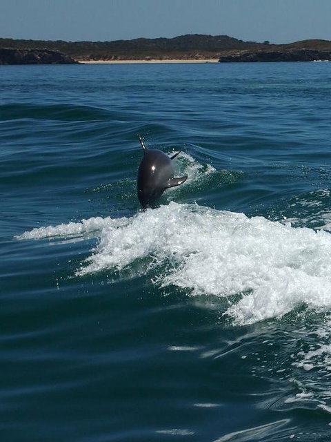 Anchorage Guest House And Self-contained Accommodation - Accommodation Resorts 1